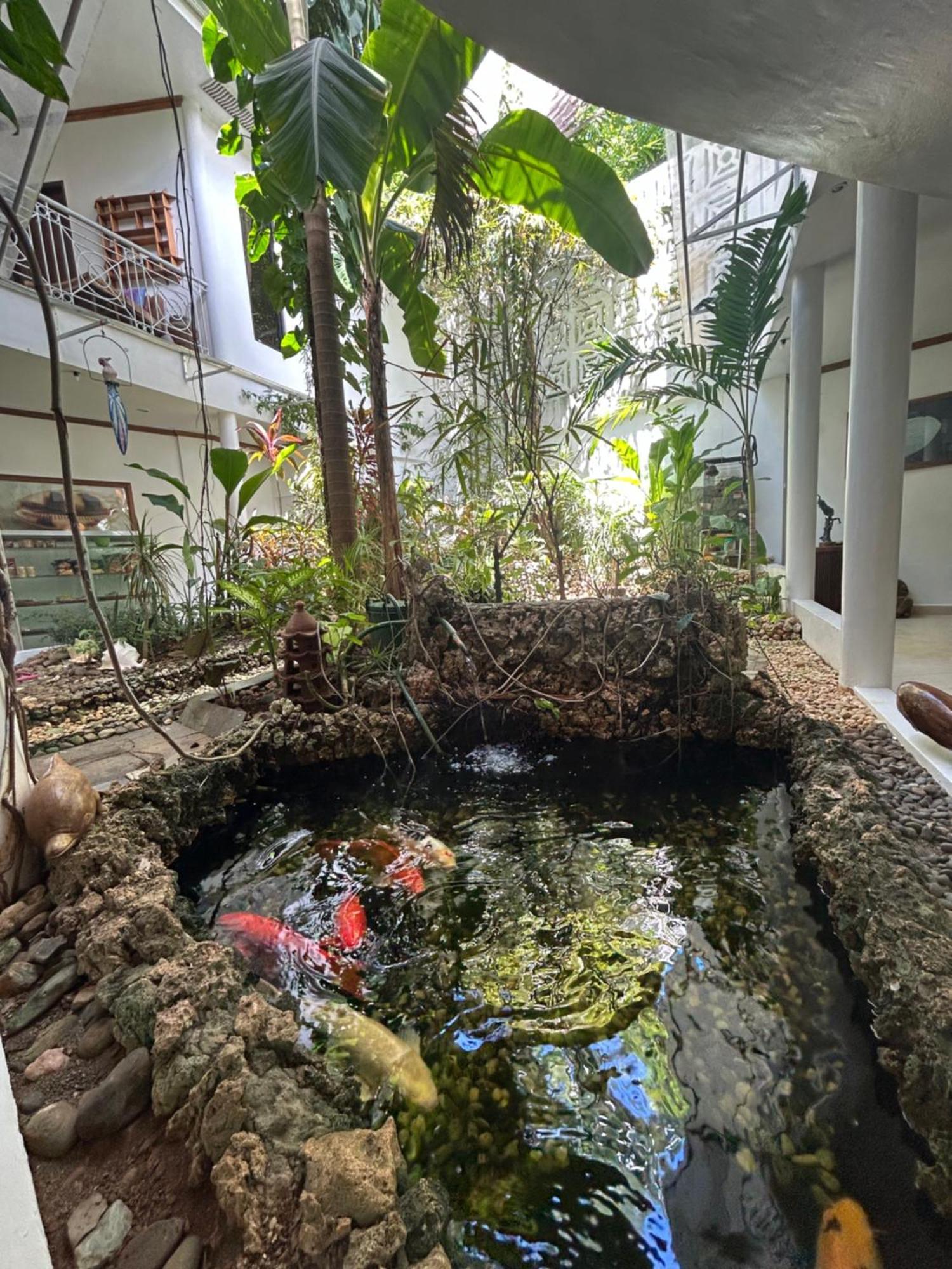 Argonauta Boracay Apartment Suites And Villas Boracay Island エクステリア 写真