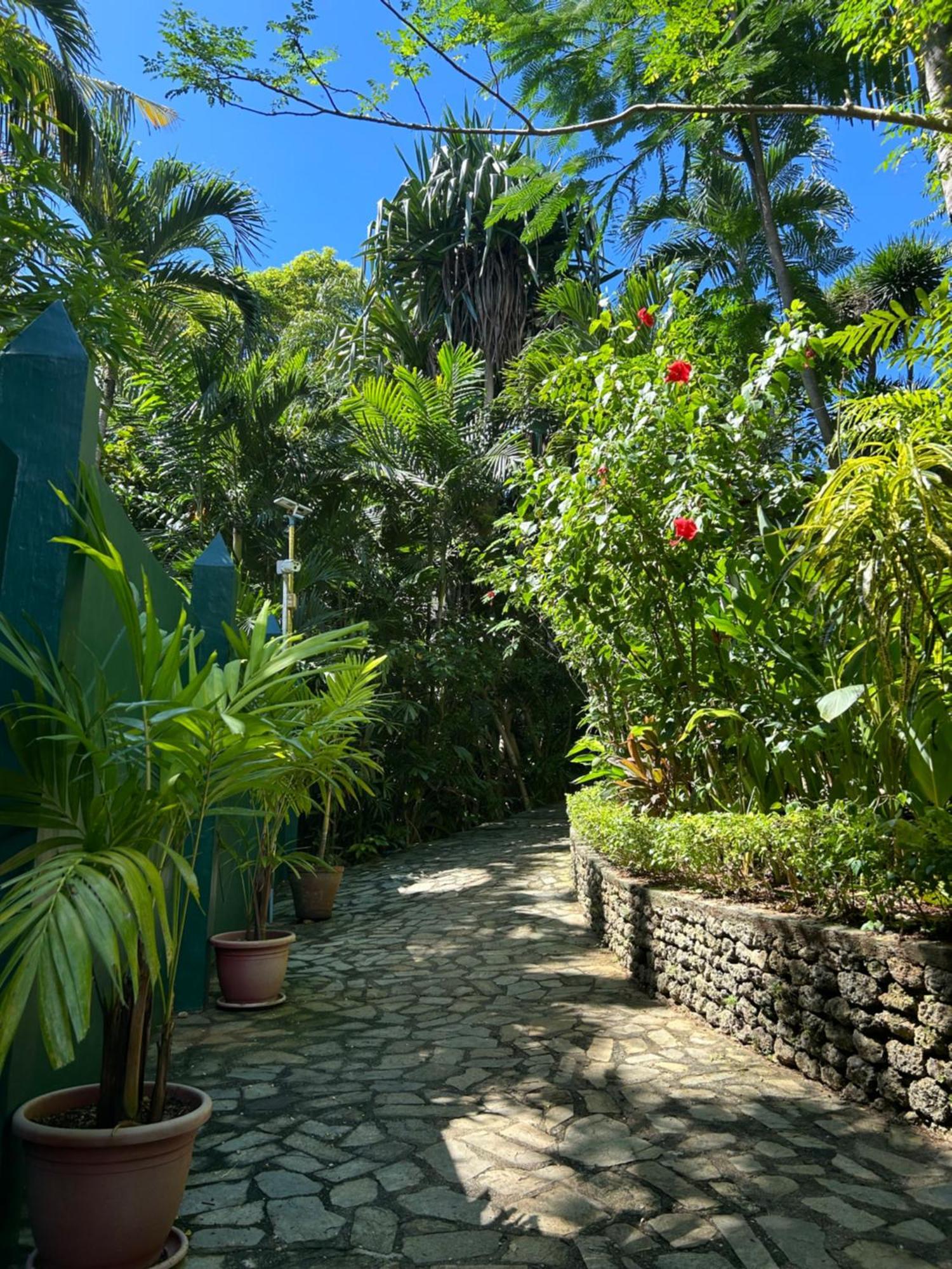 Argonauta Boracay Apartment Suites And Villas Boracay Island エクステリア 写真